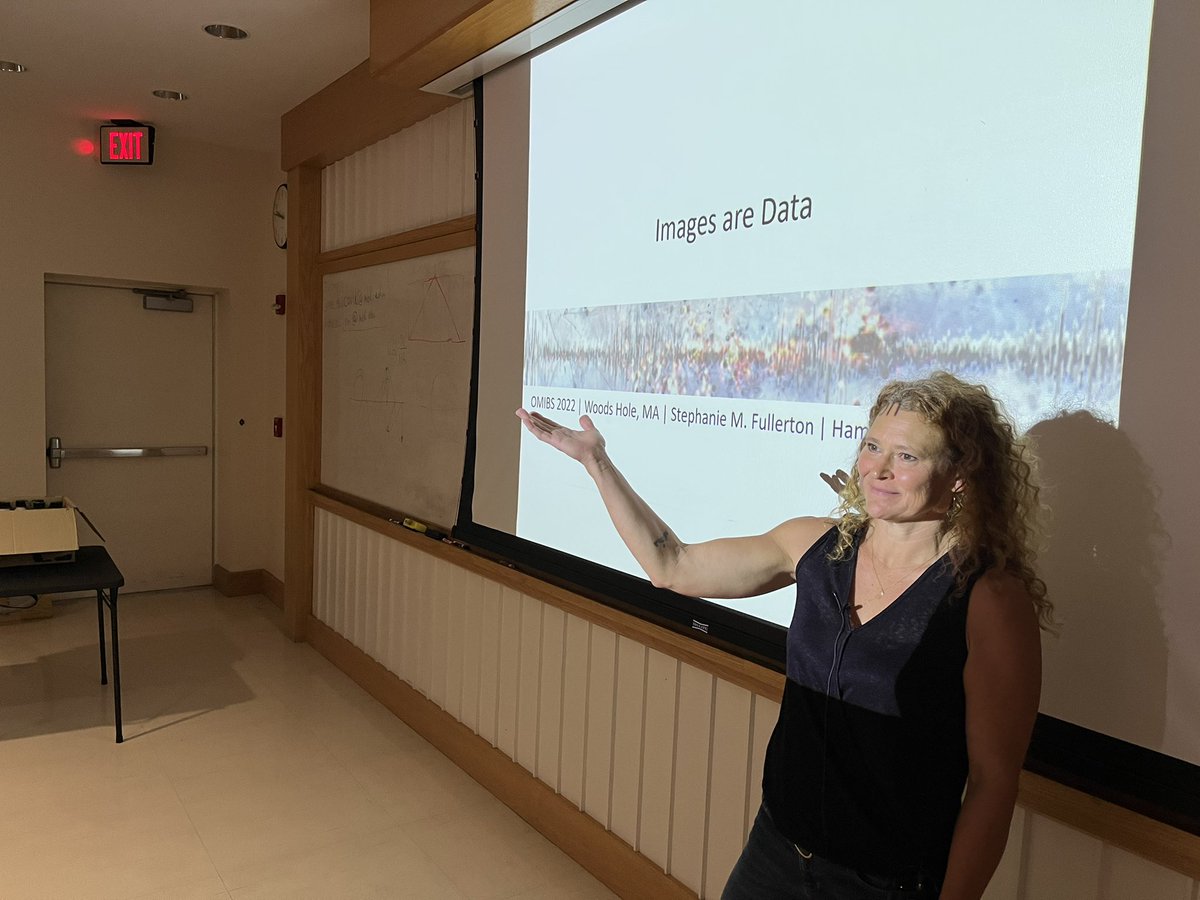 Stephanie from Hamamatsu giving the camera lecture at OMIBS 2022