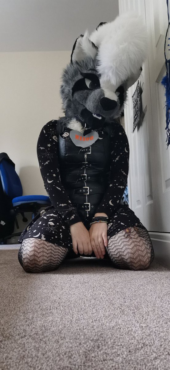 18Skullz's tweet photo. Feel pretty in my outfit today #furryfandom #furrygirl #fursuit #gothicfurry #gothic https://t.co/ecXmxwunJO
