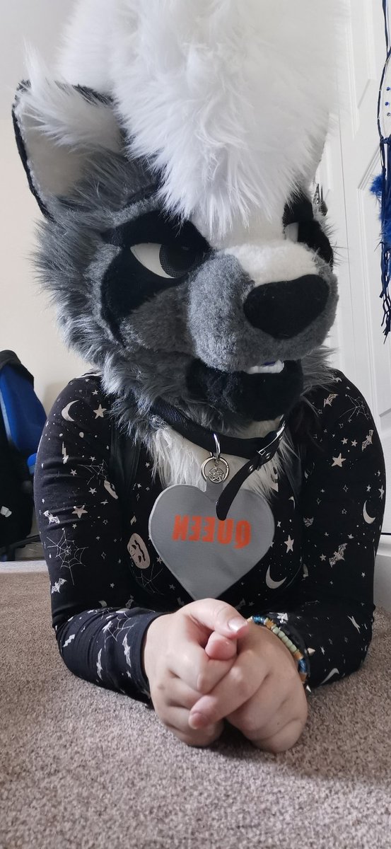 18Skullz's tweet photo. Feel pretty in my outfit today #furryfandom #furrygirl #fursuit #gothicfurry #gothic https://t.co/ecXmxwunJO