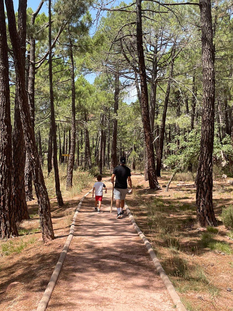 Con ellos... todo es mejor. En los maravillosos Pinares de Rodeno en Albarracín