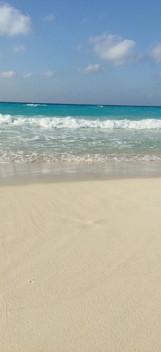 #مساء_الخير
صورة ولا اروع
