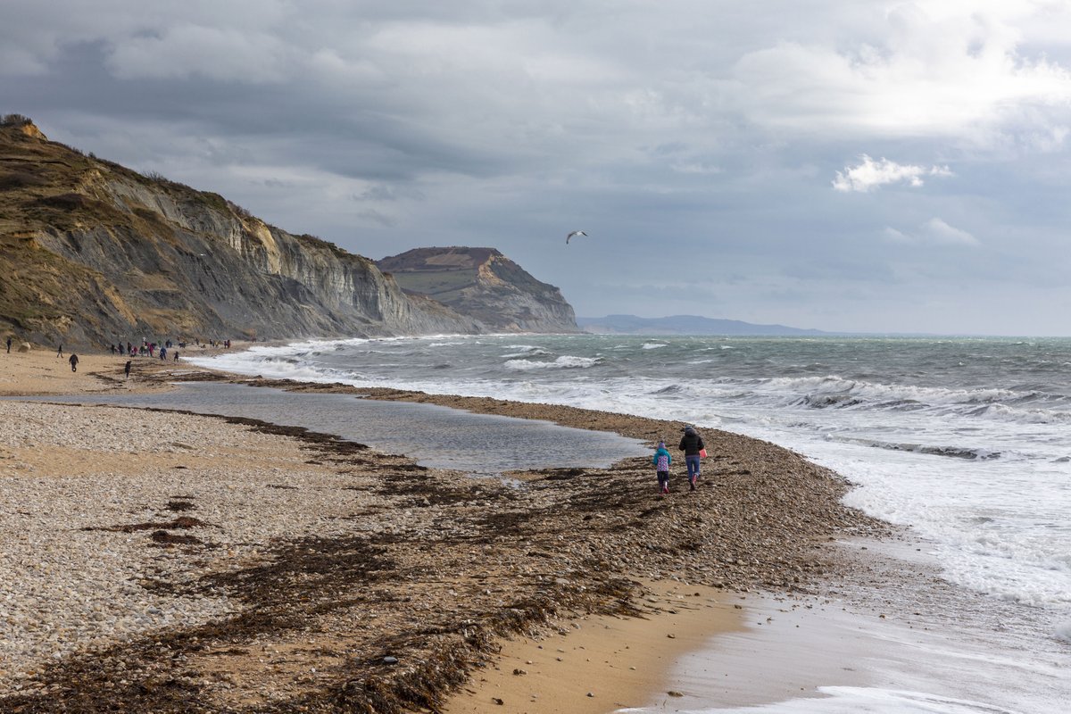 HomeFarmHotel's tweet photo. Home Farm Hotel is the ideal base to explore the world famous Jurassic Coast from this Autumn. Just 15 miles and 20 mins from Charmouth's amazing fossil beach ideal for walks and fossil finding. Just one of the many things to do very near us!
#JurassicCoast #WorldHeritageSite https://t.co/2kIp57EQot