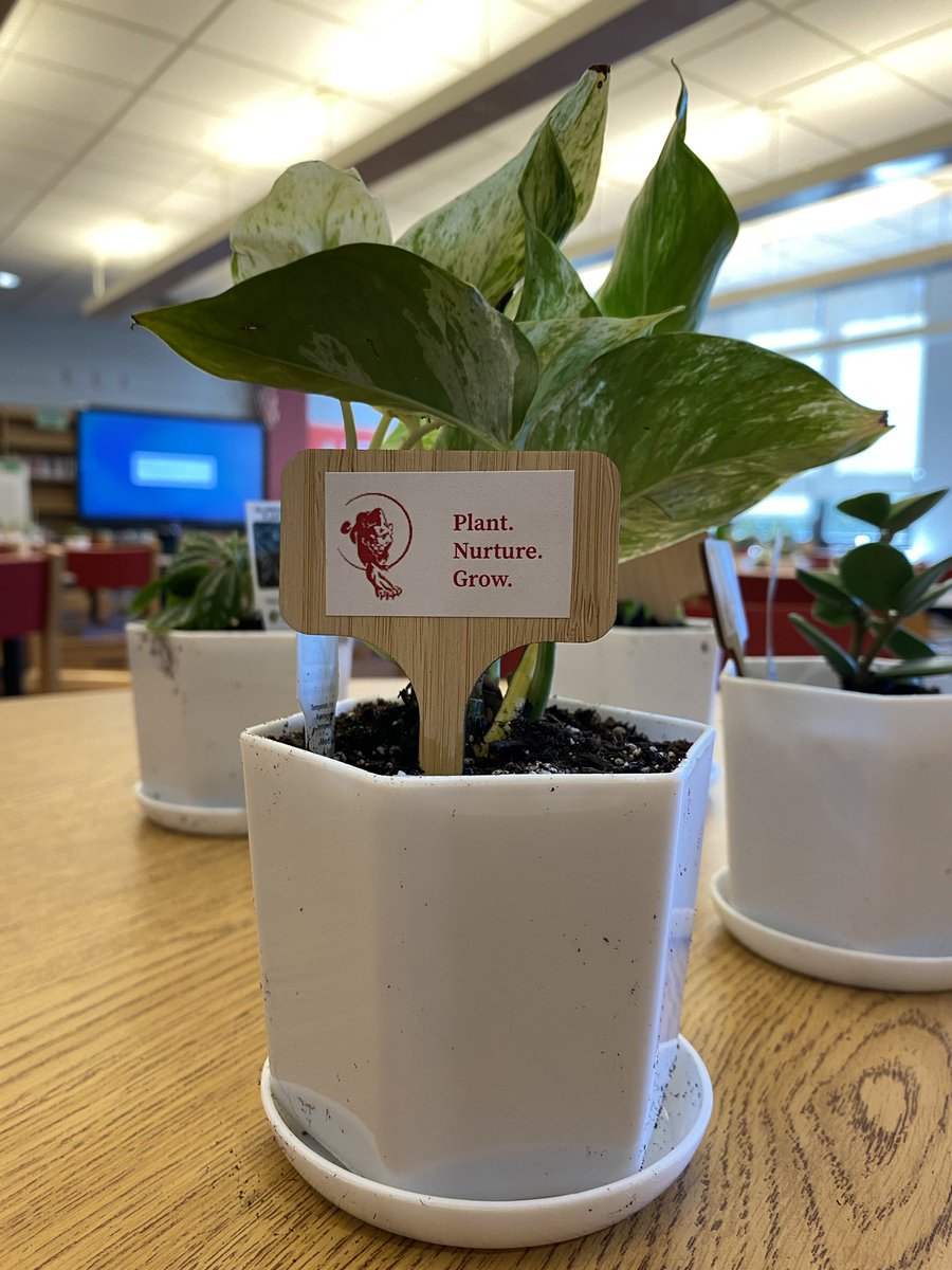 It’s great to be back!