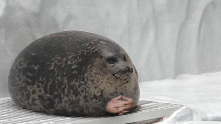 derLampenputzer's tweet image. Spanien                  Deutschland