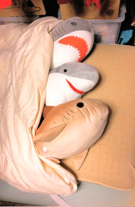 サメかなサメかな〜???_人人人人人人人人人人_> サメじゃない!!! <‾Y^Y^Y^Y^YY^YY^YY^Y‾ 