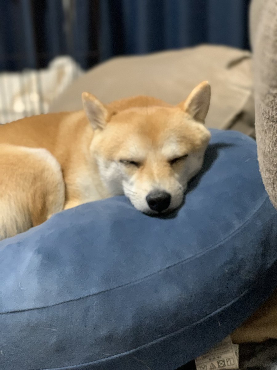 おやすみなさい⭐