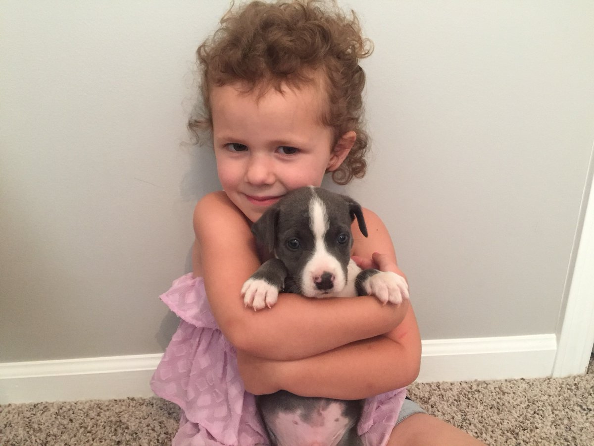 Pit bulls are the BEST family dogs! RT if your pups and kiddos are inseparable. 🥺