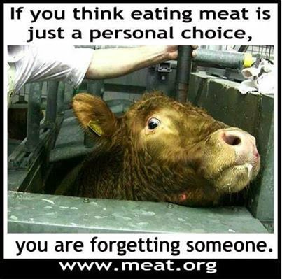 Meatlessworld1's tweet photo. @BobbySamael https://t.co/LSpVwVkf1m