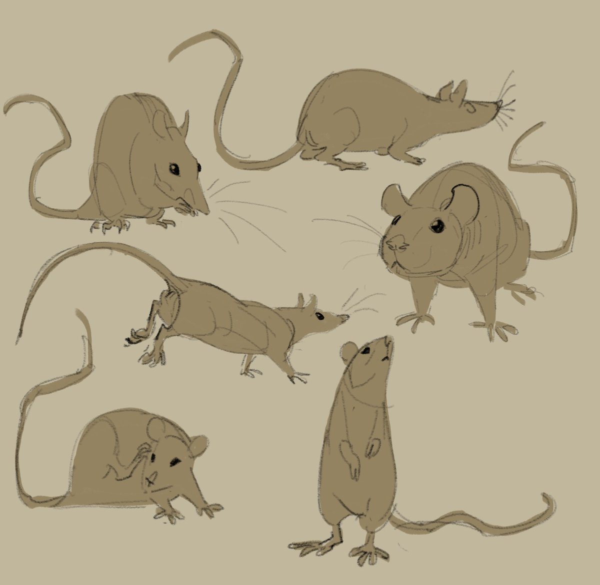 Oops I dropped my rats everywhere