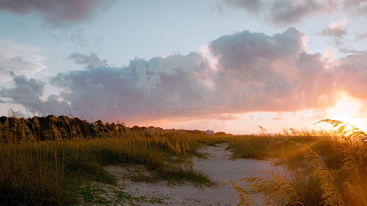 nev_in_color's tweet photo. sunrise on 35mm 🎞 https://t.co/7CIb2kJrRh