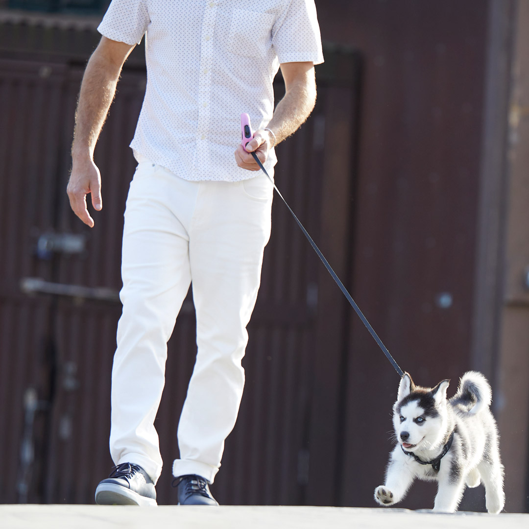 SamuelHubbardCo's tweet photo. ⭐⭐⭐⭐⭐
"Lightweight and super comfortable. Fits great. I bought these shoes specifically for walking the dog."

Shop sneakers: https://t.co/RW8axTv4RC

#mensneakers #leathersneakers #dogwalking #dogwalker #menshoes #comfortableshoes #dogsofinstagram https://t.co/yiEr4ABkCM