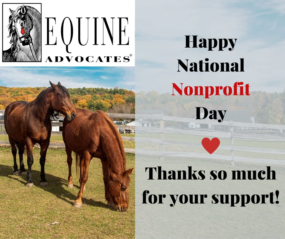 It's #NationalNonprofitDay! Today we recognize the powerful & positive impact nonprofit organizations/charities have on communities. THANK YOU to all our supporters, sponsors & friends who help us change the lives of rescued equines. We couldn't do it without you!