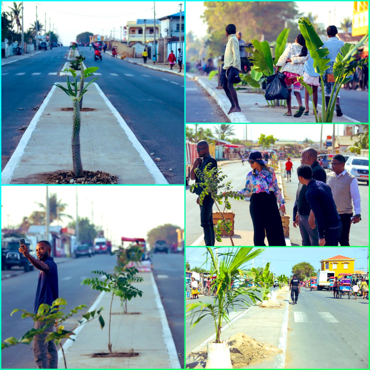 Nos Arbres, Notre Bien Commun ! Reverdir #Madagascar à travers le #reboisement des #forêts, la #restauration des #mangroves, mais aussi l’#embellissement de la ville pour qu'elle soit plus Verte!
#VilleVerte #Tulear #SudDeMadagascar
#BienCommun #Lovainjafy #MEDD #Madagascar
