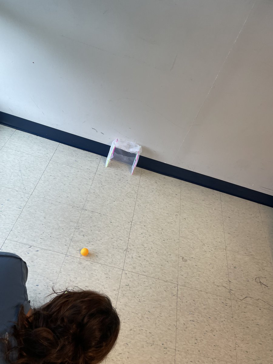 Seniors in Mrs. Harrell's and Mrs. Whittaker's Stats classes had some fun learning about comparing means by competing to see which class could get the ball in the goal the fastest!