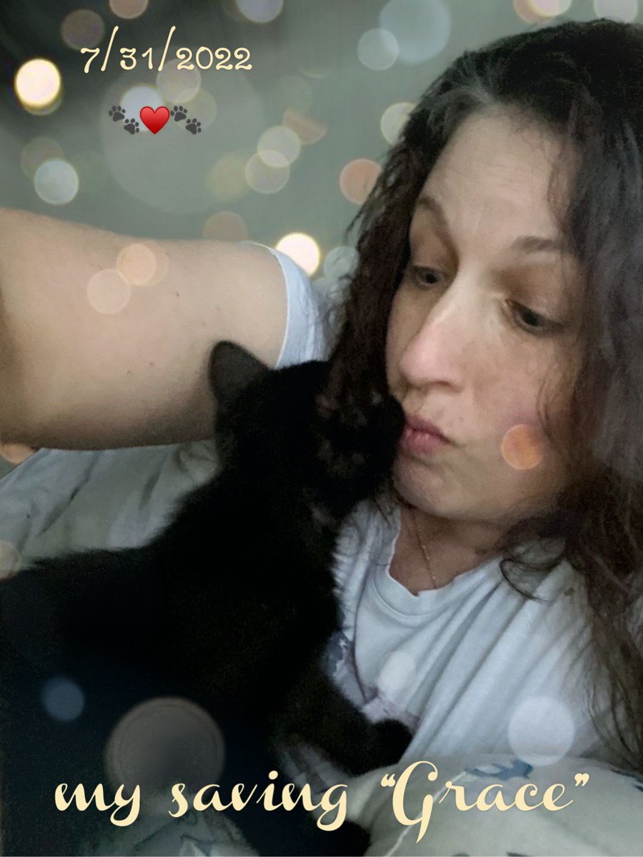 BMason717's tweet photo. #BlackCatAppreciationDay #blackcats ♥️ https://t.co/kayH7UFkj2