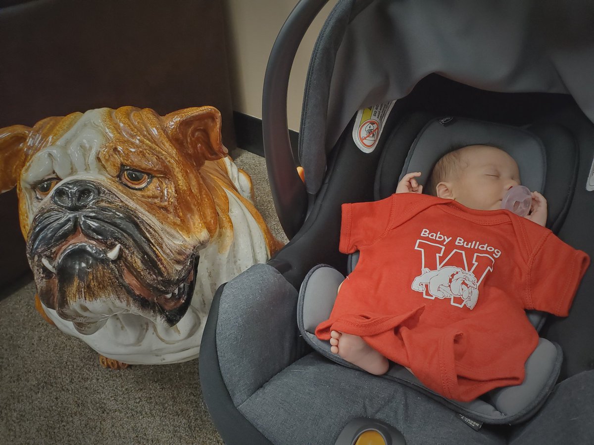 Meet baby Emery, out newest Baby Bulldog. Welcome to the family! #wilsonsd <a href="/MadelineBohr/">Madeline Bohr</a>