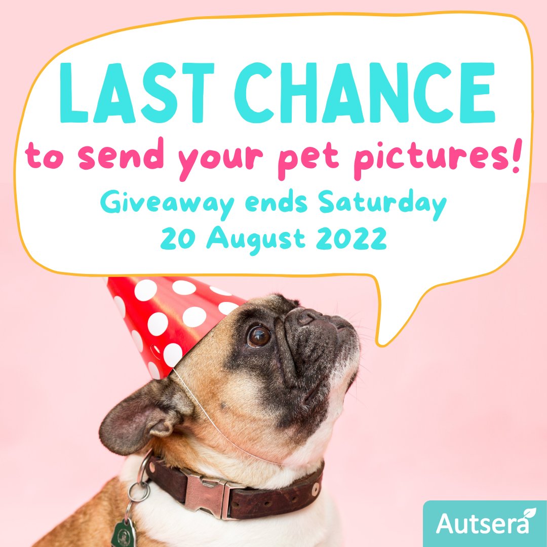 autsera's tweet photo. It is your LAST CHANCE to join our giveaway and win our ultimate summer SWAG BAG! Send us your best pet pictures and enter for a chance to win!
Deadline to share your picture and tag us is Saturday 20 August 2022.
#PetsxSummer #Giveaway #SwagBag #Summer #Pets #PetPicture https://t.co/4EVOIznuUN