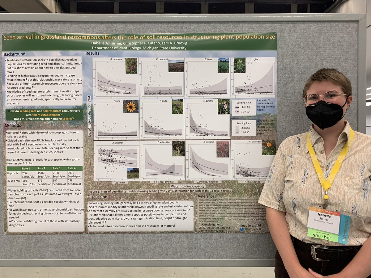 TurnIsabelle's tweet photo. interested in prairie restoration? seed mix design? come check out my poster tonight at #ESA2022 !

PS 42-55 - Seed arrival in grassland restorations alters the role of soil resources in structuring plant population size https://t.co/5Y4bR84Mb7