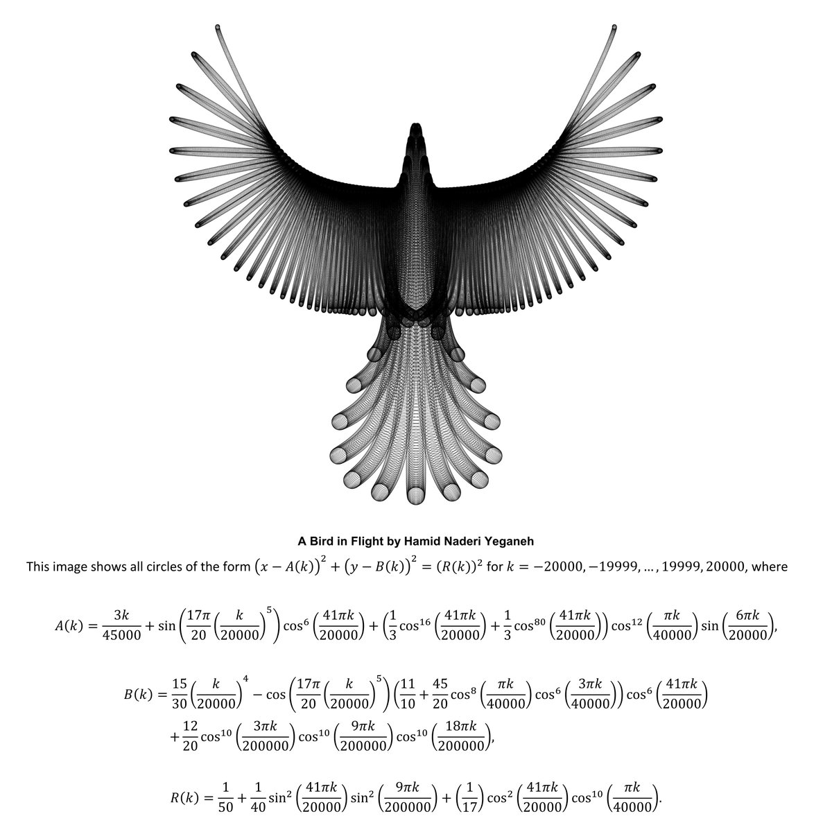 naderi_yeganeh's tweet image. I drew this bird with mathematical equations.