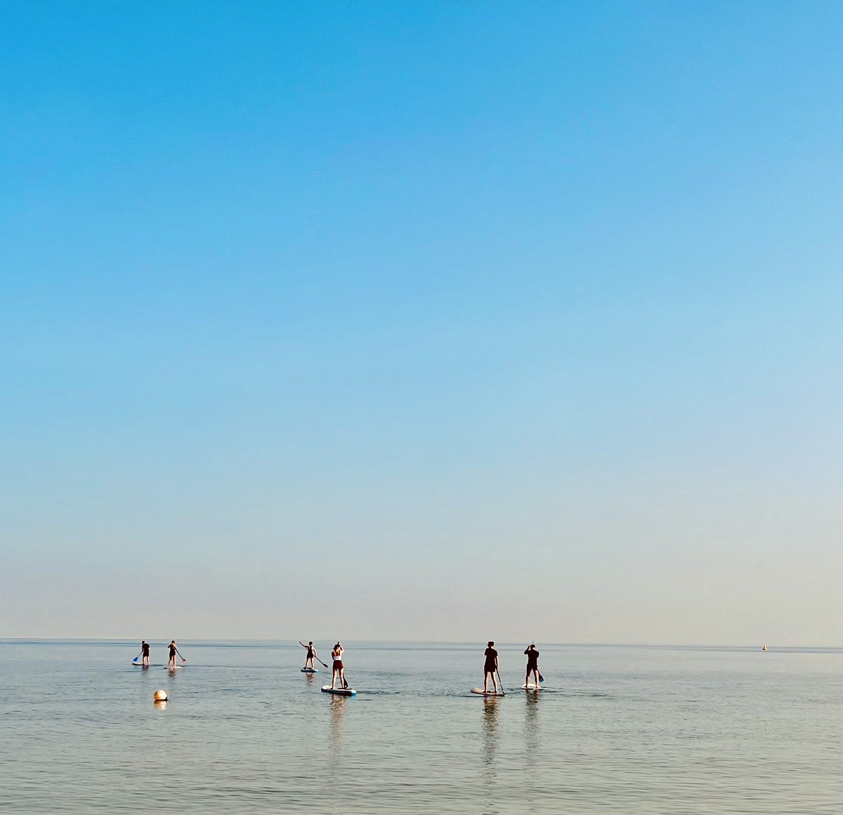 Ian Wallace tweet media