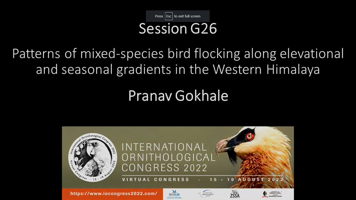 I'm happy to have given a presentation at my very first international conference on birds! I delivered a talk on the mixed-species flocks of the Western Himalaya, a part of my master's thesis. #IOC2022 #Ornithology #Himalaya #BirdTwitter