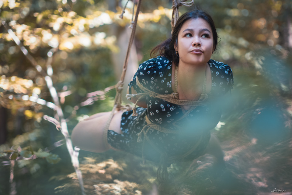 catmason_ropes's tweet photo. Ein kleiner Flug im Thüringer Wald... 🥰❤
#thuringa #thüringen #rudolstadt #katzenstein #badblankenburg #stuttgart #rigger #romanticbondage #ropeart #seilkunst #shibari #ropebunny #ukete #suspension #forest #juterope https://t.co/WvT2f8d2Ss
