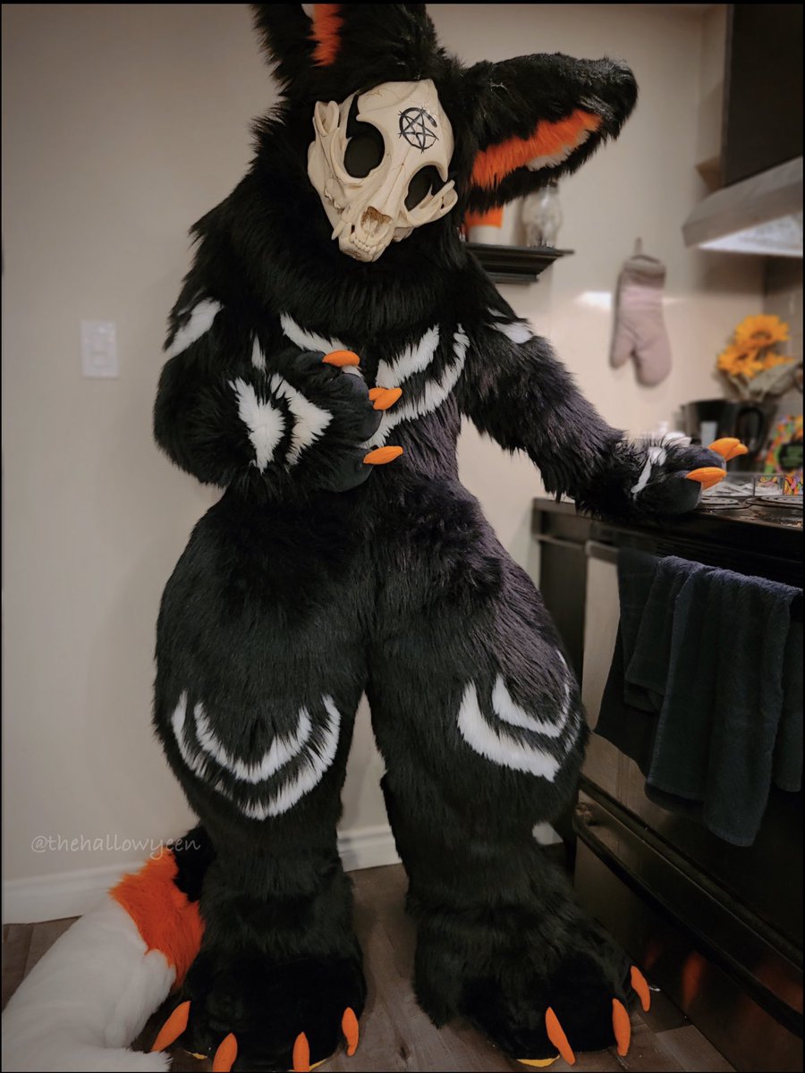 thehallowyeen's tweet photo. Can I get you anything? ☕️🎃✨🖤

Bodysuit+Head+Feet: me!
Tail+Paws: @/kryptickaiju 
#furry #fursuit #fursuiter #fursona #fullsuit #fullsuiting #fullsuiter #skullsuit #skullfursuit #furrygirl #furryartist #furrytrash #furrycommunity #furries #furrygirl https://t.co/Hn3RnhcOoh