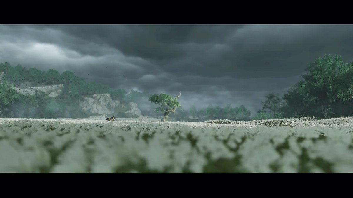 atcapone's tweet photo. #GhostOfTsushima #PS4share https://t.co/wggvPaSNLc