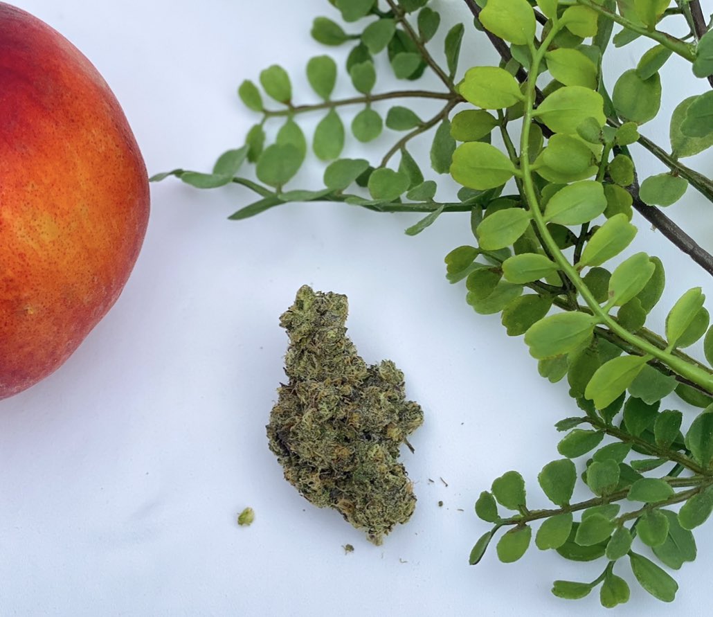 ShopHennep's tweet photo. Peace by the gram ✌️🍃 https://t.co/oio9FYib52