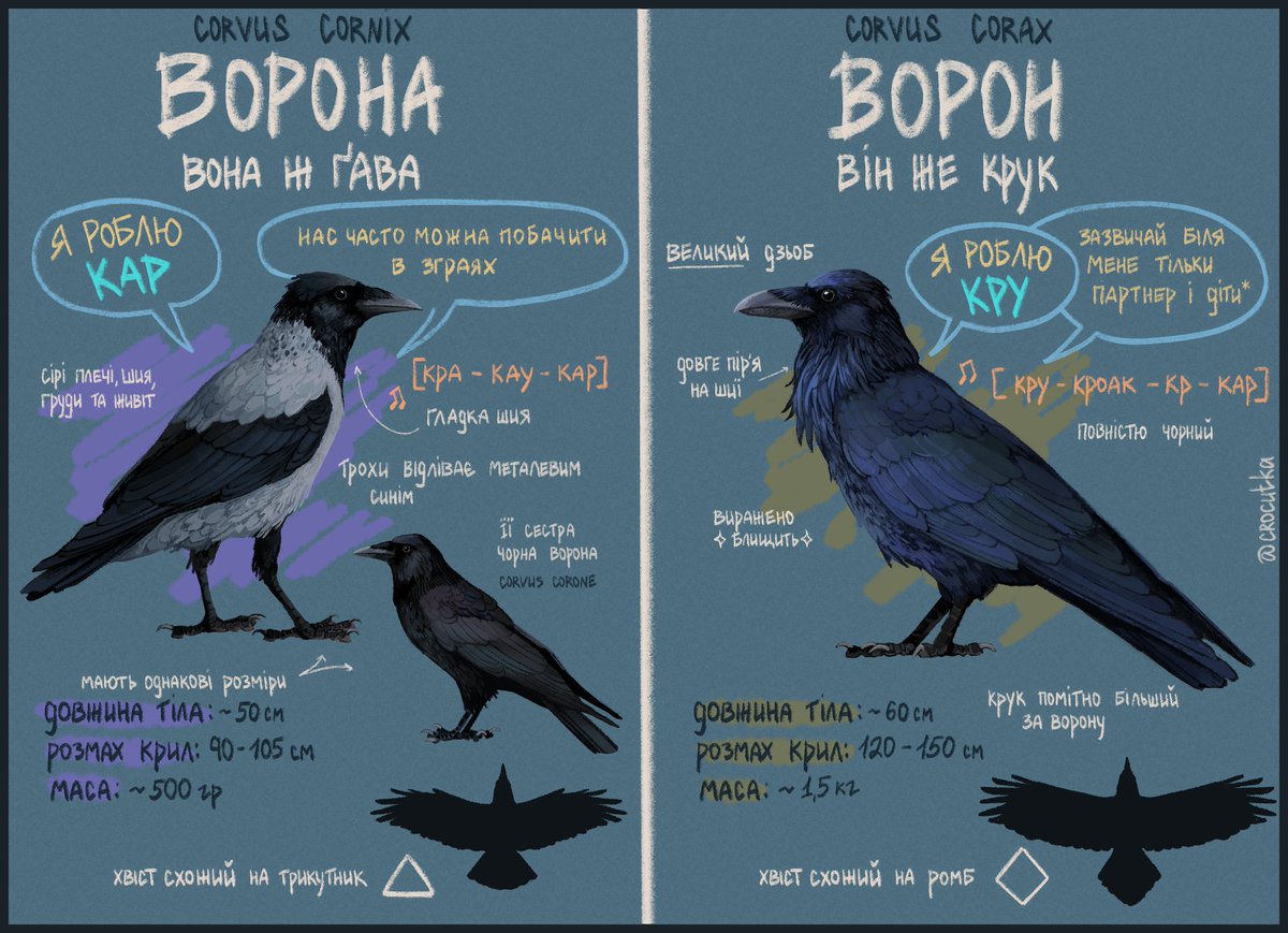 пані анрі 💥 tweet media