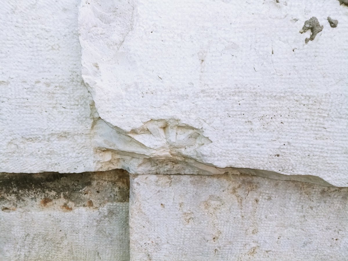 GHPatrimonioVLC's tweet photo. El GRAN HERMANO DEL PATRIMONIO CULTURAL VALENCIANO: Solicitamos que el @AjuntamentVLC  catalogue los Docks Comerciales del Puerto de Valencia como BRL. https://t.co/uztJGLxgEd 
@Patrindustrial @valenciabonita_ @lasprovincias @ValenciaNews_es https://t.co/OJJQFHo58S