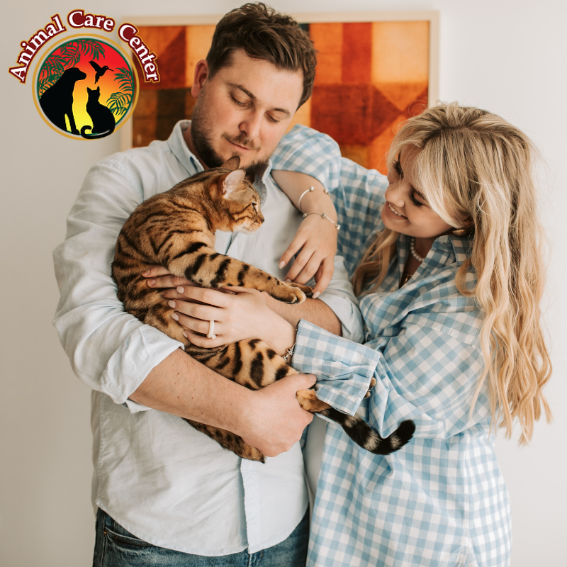 AnimalCareVet's tweet photo. Live without worry knowing we offer state-of-the-art #PetCare! From vaccinations to dentistry and behavioral counseling + so much more! https://t.co/ddCojCu7K3 #Vet https://t.co/KiG8rieHeR