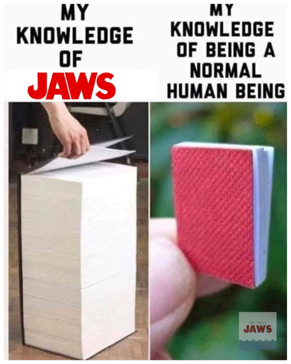 thedailyjaws's tweet image. This was no #book accident! #Jaws