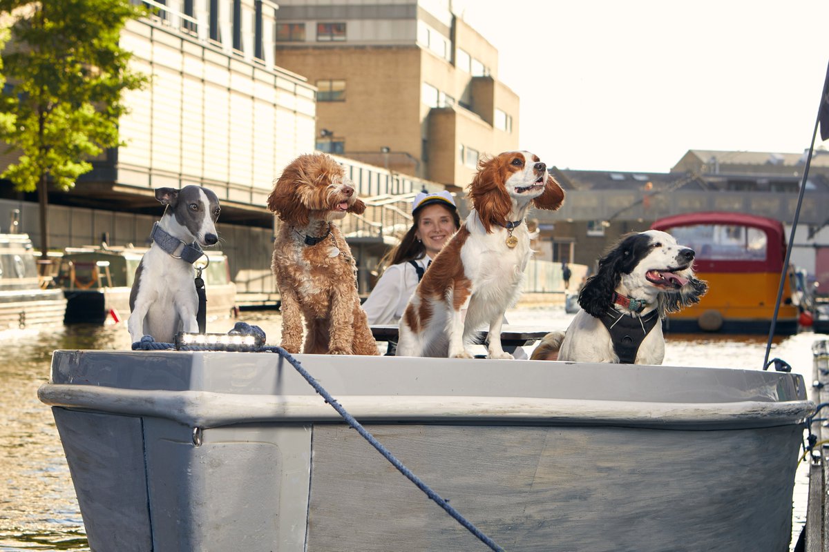CutTheBullComms's tweet photo. International Dog Day 26th Aug - 2x stories:

GoBoat offering a free dog taxi service &amp; free boats for dogs next week #journorequest #prrequest https://t.co/VAjmDjtXiP