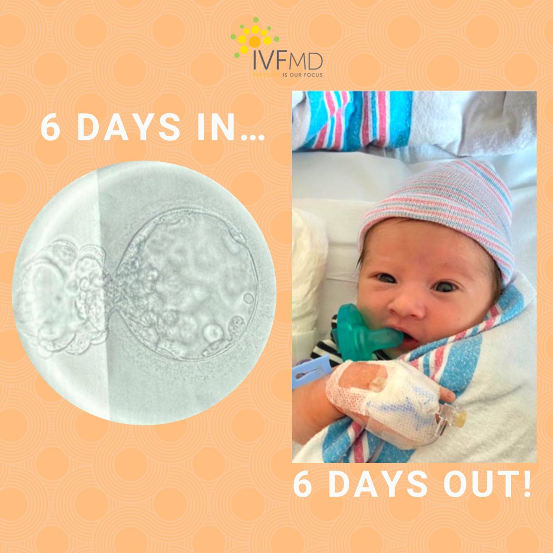 IVFMDFlorida's tweet photo. “It’s amazing how you can instantly love a tiny human the moment you set your eyes on them. Words can’t not express how grateful once again for the amazing team at @ivfmd primarily Dr. Soto and @FindYourVictory.  With out you we would never had this great amazing human! Ty” https://t.co/M28EvVXoPO
