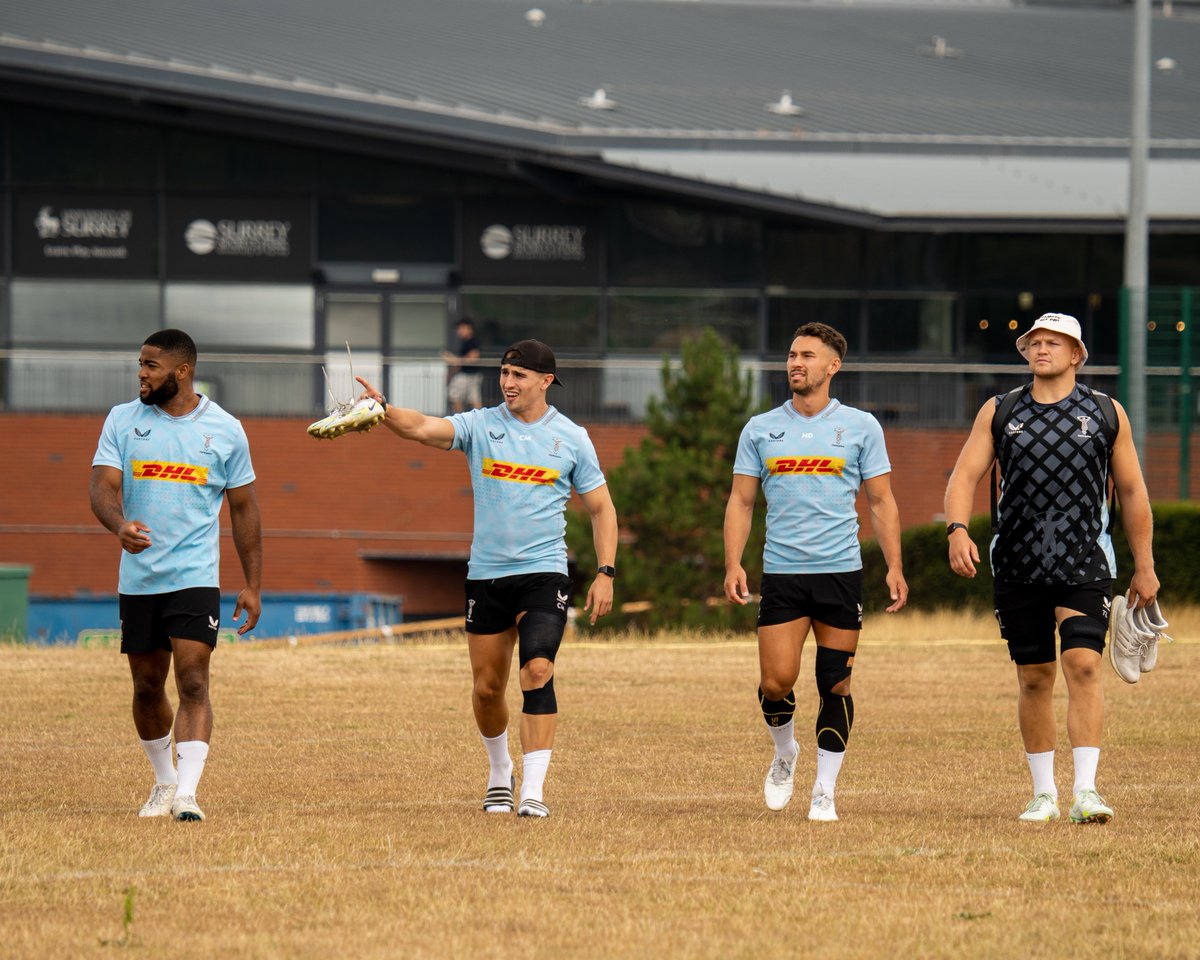 Harlequins 🃏 tweet media