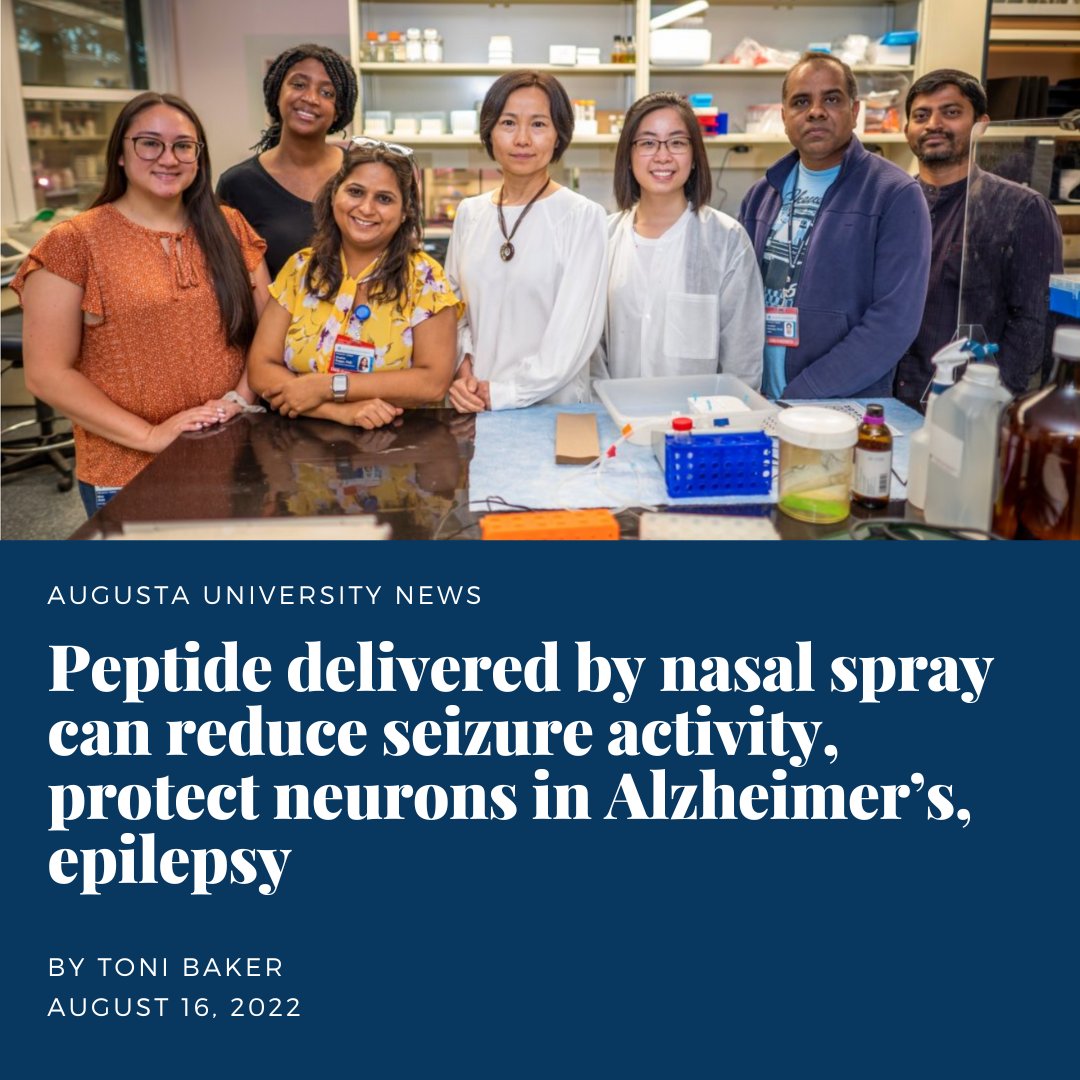 AugCSM's tweet image. SO happy to see a recent CSM grad being a part of a great research team! 👍👍👍
Amy Trang (third from right), @AUG_Alumni of the MS in Biomolecular Science program, started working as a Research Associate at Dr. Qin Wang's lab at @MCG_AUG in June 2022. 

jagwire.augusta.edu/peptide-delive…