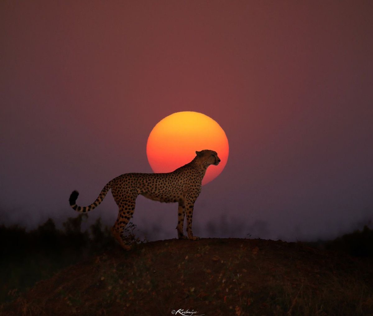 ramblingsloa's tweet photo. Don’t be scared to walk alone.
Don’t be scared to like it. 

John Mayer https://t.co/d3fZ5S6tBa