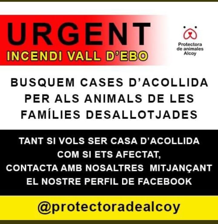 BaixSegura_es's tweet photo. https://t.co/G7cxlSbRuG  #IFValldEbo
➡️11.500 has. calcinadas
➡️Evacuación de Famorca, Facheca, Tollos, Beniaia, Benimassot, construcciones de la zona de la Garrotxa, Benirrama y Beniali (Vall de Gallinera), 10 construcciones en Castell de Castells. Unas 1.500 personas desalojad https://t.co/E9m5zuBvo5