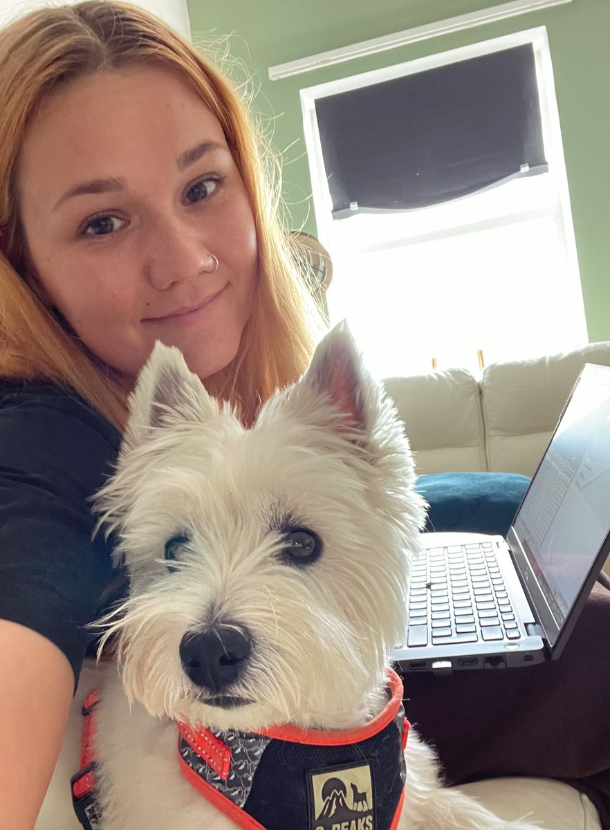 For every new book proposal I receive in August I will pat this dog one (1) time on the head.

How much more convincing do you need?

#physics #WomenInSTEM #optics #lasers #photonics #medicalphysics #medicalimaging #condensedmatter #biophysics #materials #computationalphysics