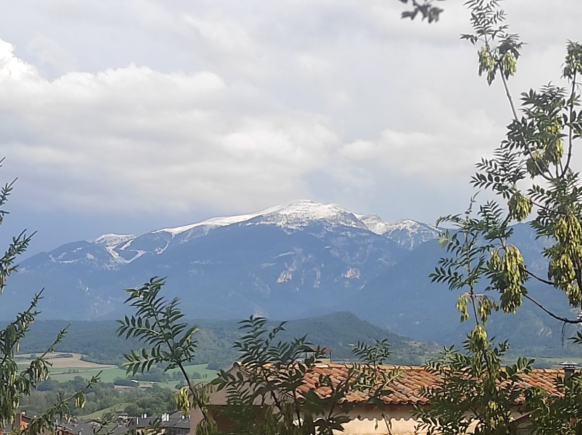 17 d'agost... Neu a la Tossa d'Alp 🤫 una bona pedregada!🌧️ <a href="/meteocat/">Meteocat</a> <a href="/meteocadi/">meteocadí</a> @MeteoMauri