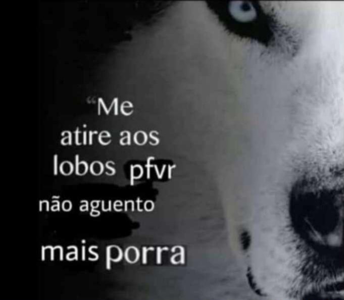 fraseslowqualit's tweet image. 