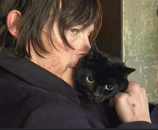 SarahSerenity17's tweet photo. Black cat appreciation day. I definitely appreciate @NormansCat and miss that cute little kitty. It looked so fluffy and cute. 😭❤️❤️🖤🖤🖤🖤
#BlackCatAppreciationDay #EyeInTheDark #NormanReedus #Normanscat #BlackCats #HalloweenKitty #FYP #love https://t.co/OVCMH3IlQp