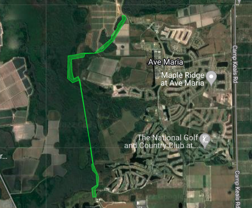CollierMosquito's tweet photo. Data indicates increasing numbers of #mosquito larvae along the western side of Ave Maria, which will be treated by drone applying granules of #VectoMaxFG larval control material on 8/18-19 after 7 AM each day. Details at https://t.co/ldLa68qKFV #FightTheBiteCollier #239MC https://t.co/eTuJHEakm0