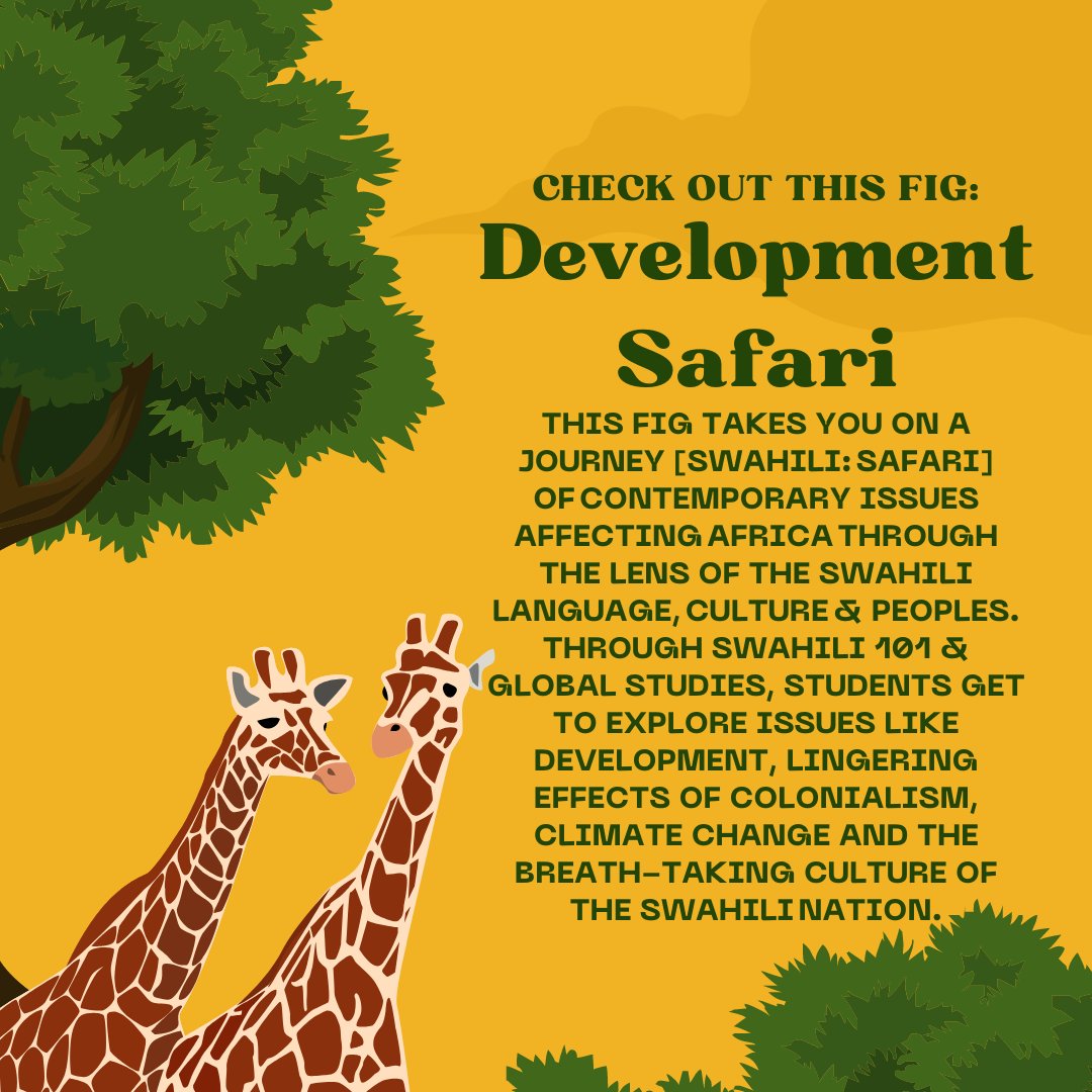 uofigs's tweet photo. Want to learn a language? Check out our FIG "Development Safari" and learn Swahili, the fastest growing lingua franca in East, Central &amp; Southern Africa! https://t.co/tKM8MZsQD0
