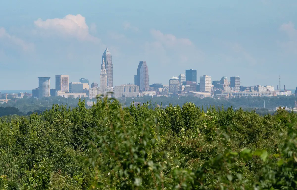 clevemetroparks's tweet photo. Skyline Overlook appreciation post. 👌 https://t.co/k2PS6qadus