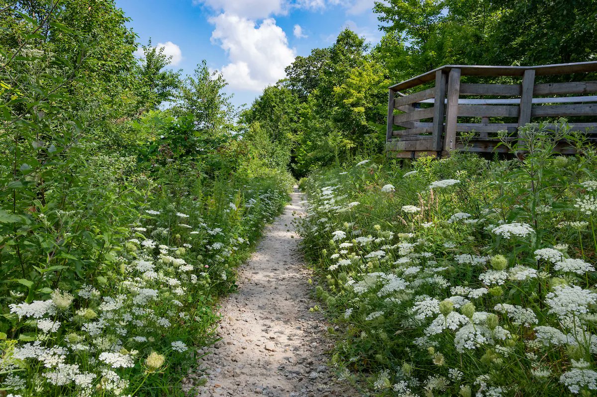 clevemetroparks's tweet photo. Skyline Overlook appreciation post. 👌 https://t.co/k2PS6qadus