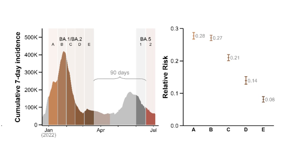 EricTopol's tweet photo. Rapid waning of immune protection by BA.1/BA.2 infections (mostly breakthroughs) against BA.5 infections
https://t.co/9XTirVPDa2 15-day intervals (A->E) in a Portugal nationwide report https://t.co/R2wEx3TXWw
