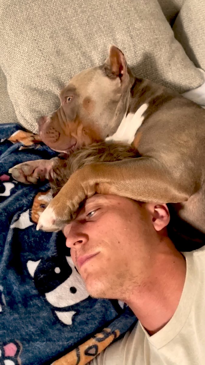 Alexander Galue On Twitter Rt Dodo Needy Pittie Stalks His Dad