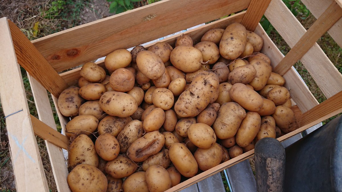 Brice Perrin tweet media